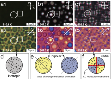 LC configurations: Isottropic-Bipolar-Radial