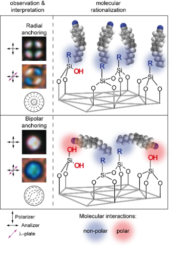 Surface interactions and molecular configurations